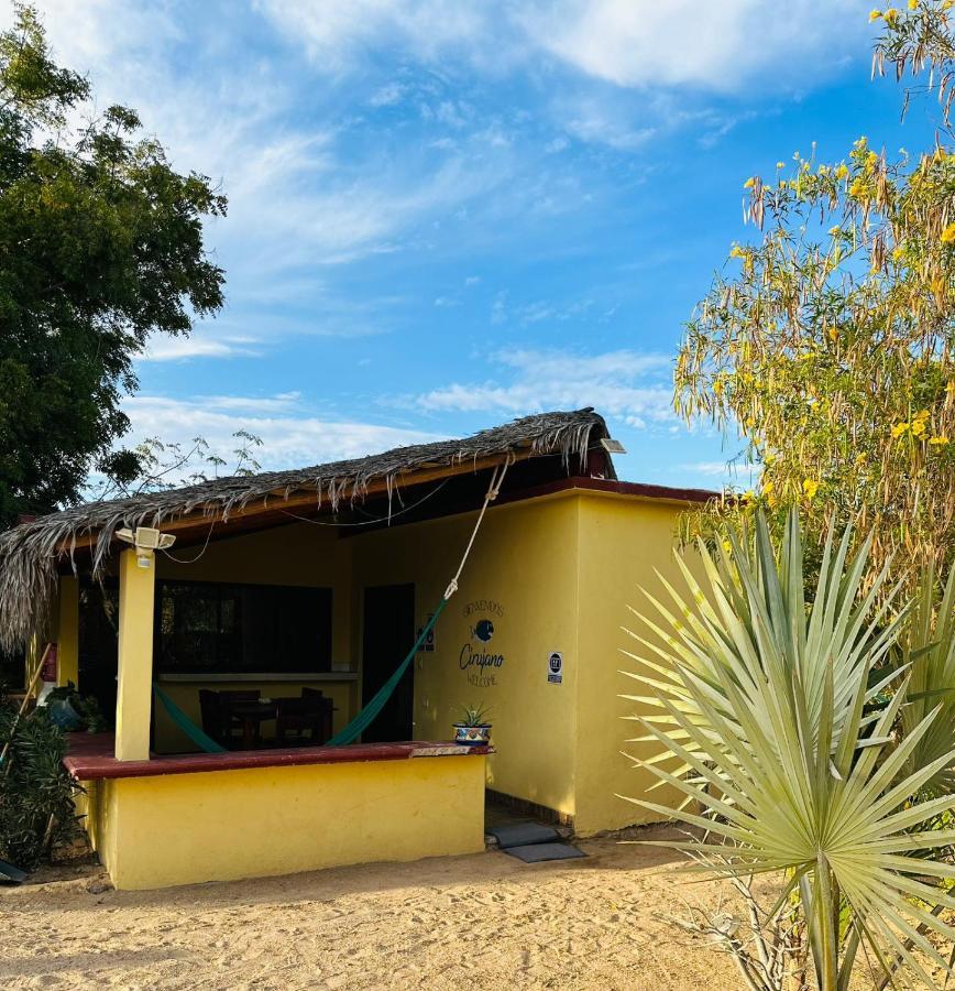 Bungalow Cirujano Appartement Cabo Pulmo Buitenkant foto